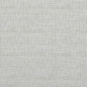 Venga Standard Rollers Blind - Charcoal